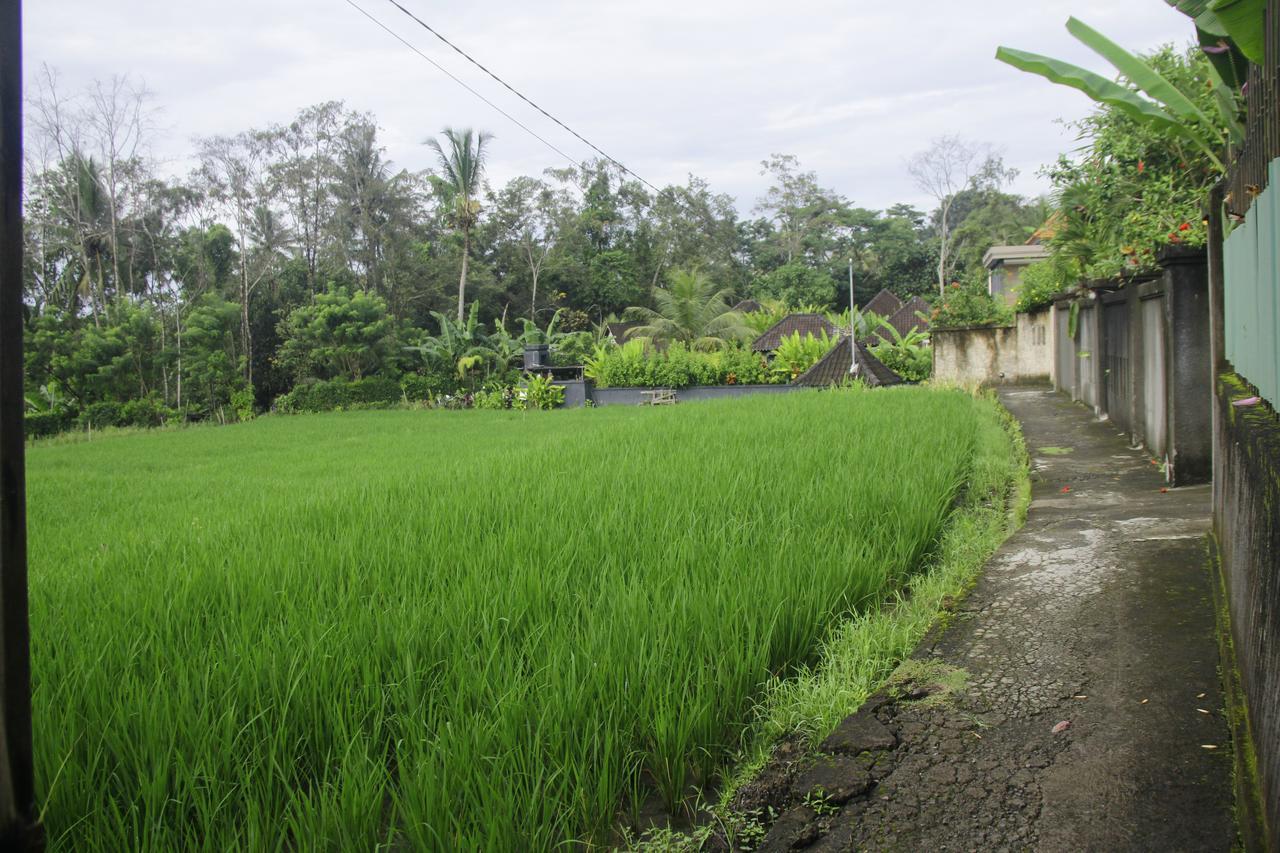 Ratna Villa 4 Ubud Kültér fotó